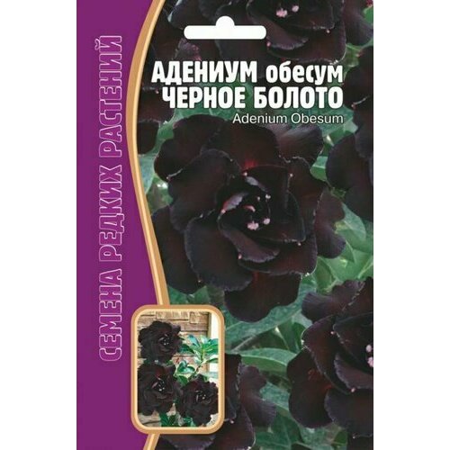 ������ ������ ������ ������� 