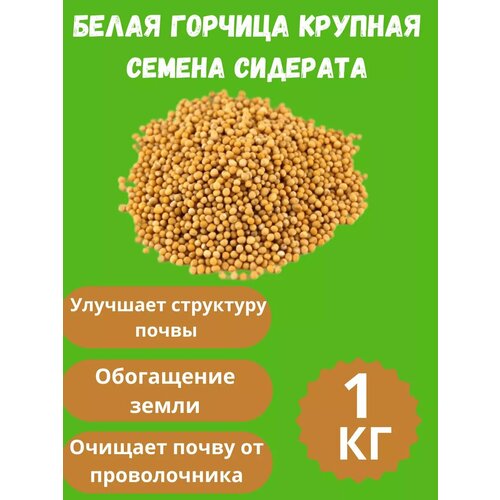 ������ ������ ������ ������� ������� 1 �� ����