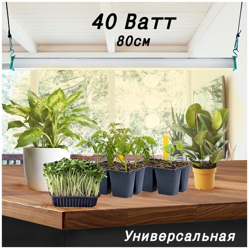 ������ ������ ��������� ��� �������� ������� ������� �������� ������������ MiniFermer ���� ������� Samsung 4000�+660nm / Led �������������� ��� ��������, ���������, �������, 40�� 80�� ����