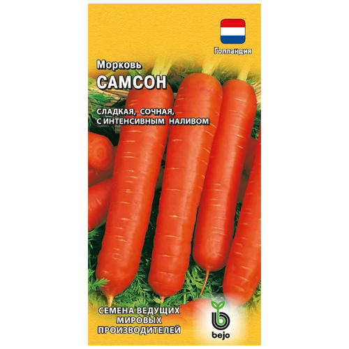 ������ ������ ������ ������ Bejo ������� ������ 0,5 � ����