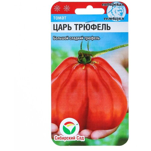 ������ ������ ������ ����� 