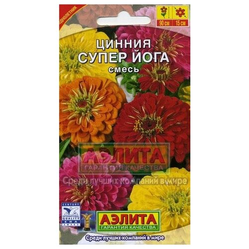 ������ ������ ������. ������ 