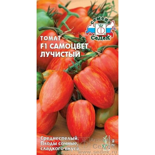 ������ ������ ����� �������� �������� F1 ����