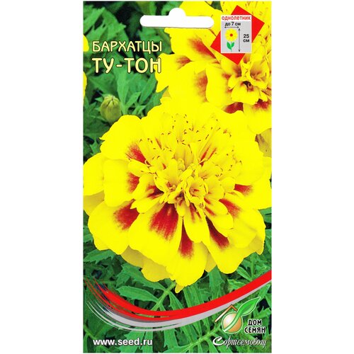 ������ ������ �������� (������� �����������) ��-���, 80 ����� ����