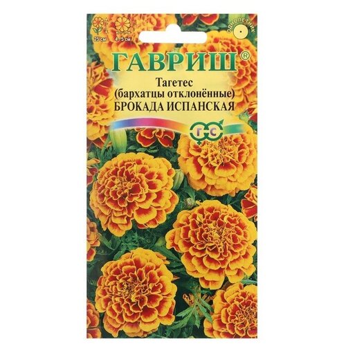 ������ ������ ������ ������ �������� ����������� (�������) 