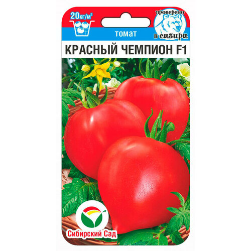 ������ ������ ������ ����� ������� ������� F1 15�� ����� ������ (��������� ���) ����