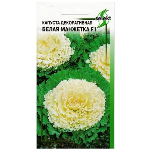 ������ ������ ������� ������������ ����� ��������, 10 ����� ����