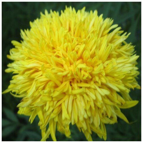 ������ ������ ������ ������ ����� ������� ���������������� 50 ��. ����