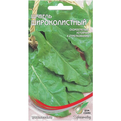 ������ ������ ������ �������������, 100 ����� ����