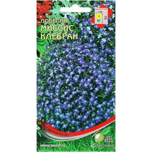 ������ ������ ������� ������ �������, 1400 ����� ����