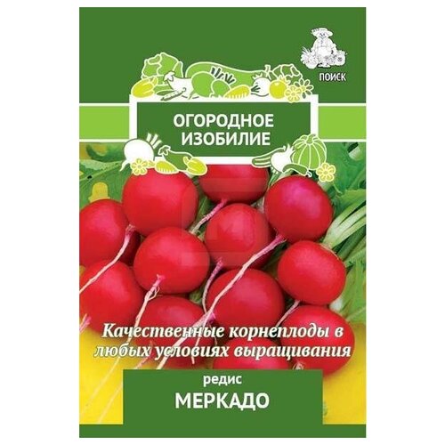 ������ ������ ����� ����� ������� � ����