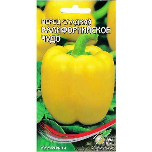 ������ ������ ����� ������� �������������� ���� ������, 30 ����� ����