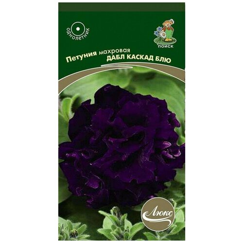 ������ ������ ������� ���� ������ ��� �������� 10�� ��� ����