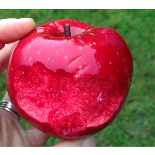 ������ ������ ������� ������ ����������� ��� ���� ( 2 ���� , �3,5 , 50-75 �� ) ����