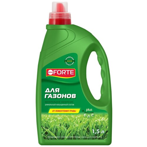 ������ ������ ��������� BONA FORTE ��� �������, 1.5 �, 1960 �, 1 ��. ����