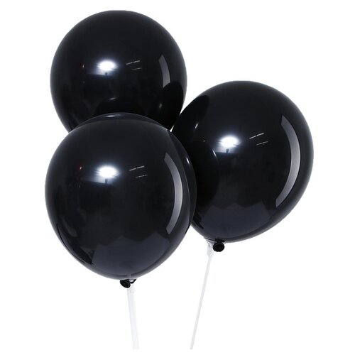 ������ ������ ����� ��������� ����� Leti �������, 12