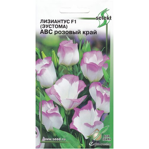 ������ ������ ��������� F1 (������� ) ��� ������� ����, 5 ����� ����