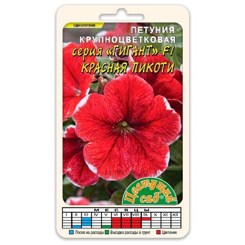 ������ ������ ����� ������� ��������������� ������ ������� ������ F1 (������ �������� ��� 10 ��. � ������) ����