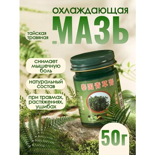 ������ ������ ���� ���� �������������� ����������� ����