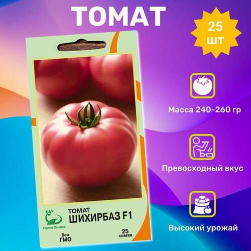 ������ ������ ������ ������ �������� F1 25��. ���������� �������� ����