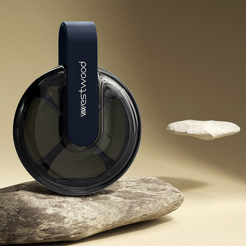 ������ ������ ���������� ����