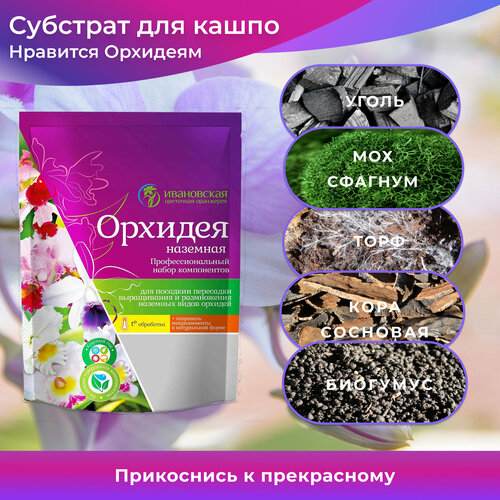 ������ ������ ����� ��� ������� 