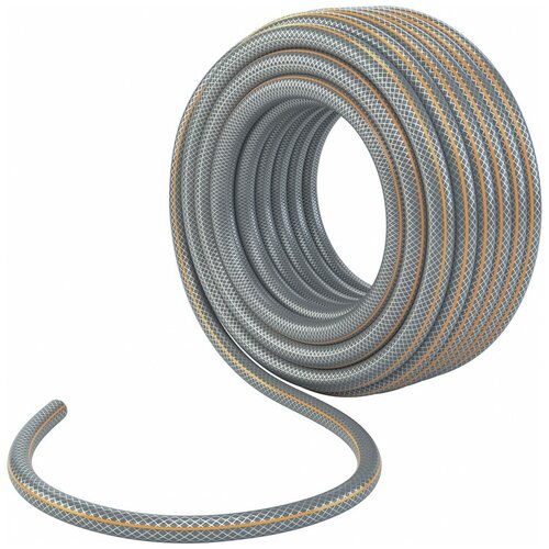 ������ ������ ����� PALISAD Professional, 1/2