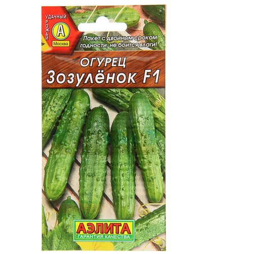 ������ ������ ������ ������ 