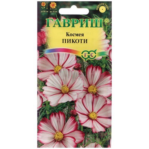 ������ ������ ������ ������ ������ 