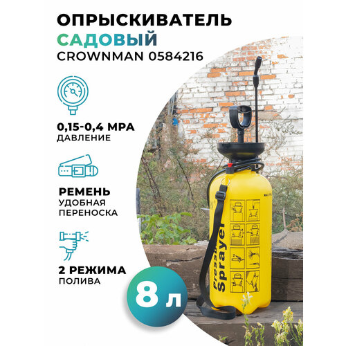 ������ ������ ������������� ������� �������� 8� ����