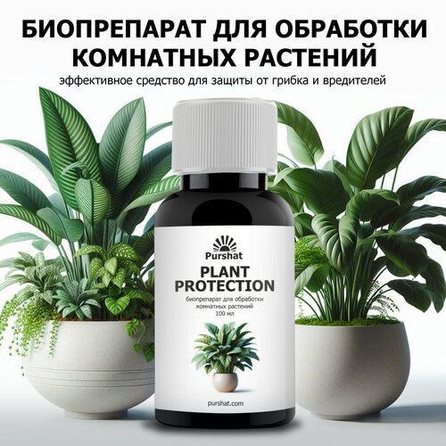 ������ ������ ����������� ��� ��������� ��������� �������� Purshat 100 �� � ������ �� ��������� � ������� ����