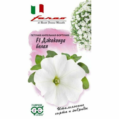 ������ ������ ������ ������� �������� �����, �����������. F1, ����������, (������) 10�� ���� ����