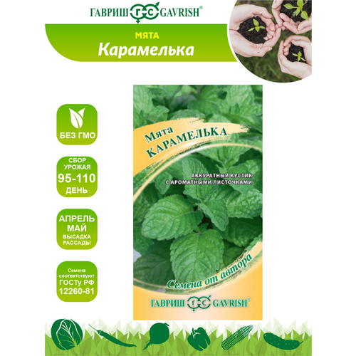 ������ ������ ������ ���� ���������� �����. 0,05 ��. ����