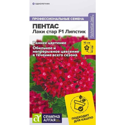 ������ ������ ������ ������ ���� ���� F1 ������� ������������� 3�� ��� 40�� (������ �����) ����