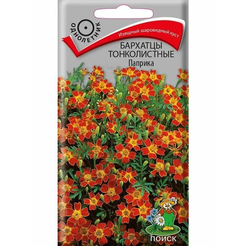 ������ ������ �������� ������� ���������. 0,1��. �����. (�����) ����