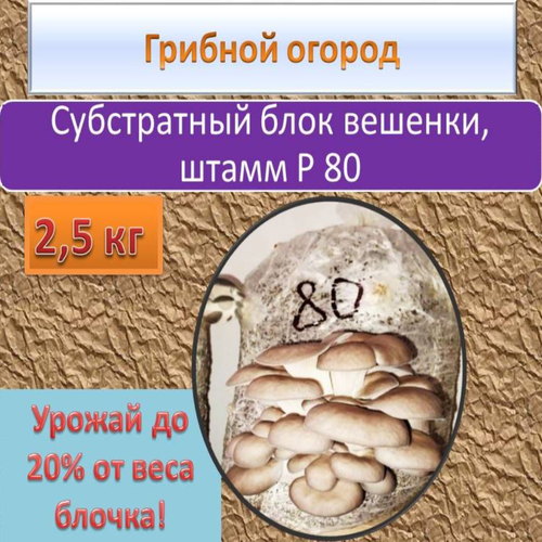 ������ ������ ����������� ���� ������� ��� ������� ������. ����� 