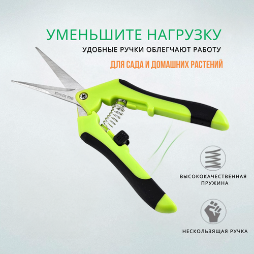 ������ ������ ������� ������� ��� ������ ������������� / ������� �������/ ������� ��� ����. ����������� ����� ����