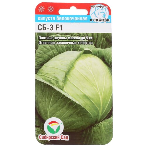 ������ ������ ������ ������� 