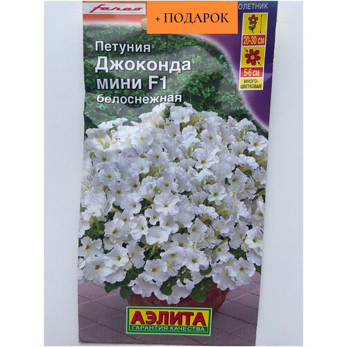 ������ ������ ������� �������� F1 ���� ����������� ~ 7 ����� ����