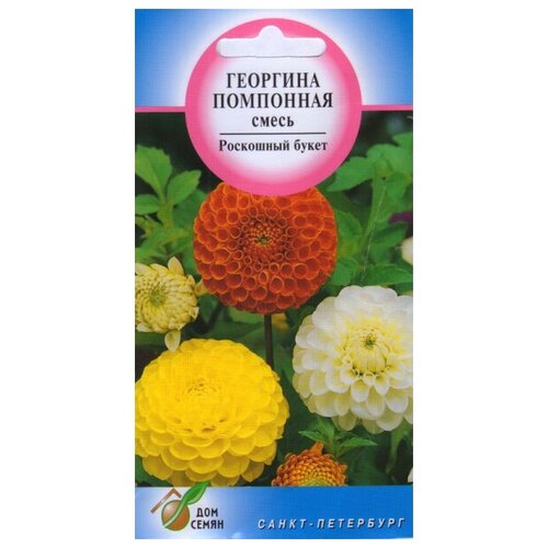 ������ ������ �������� ��������� �����, 15 ����� ����