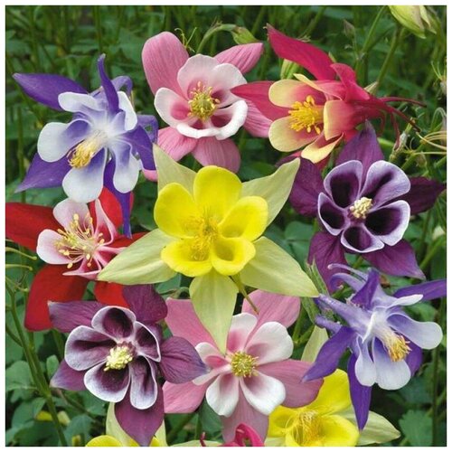 ������ ������ ������ ������ ��������� ������������, �������� 20 ��. ����