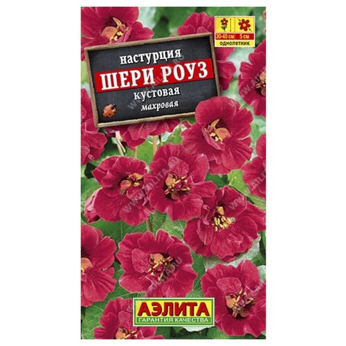 ������ ������ ������ ��������� ������ ��������� ���� ���� ���������� 1 � ����