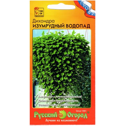 ������ ������ ����� �������� ���������� ������� 10�� ����� ����