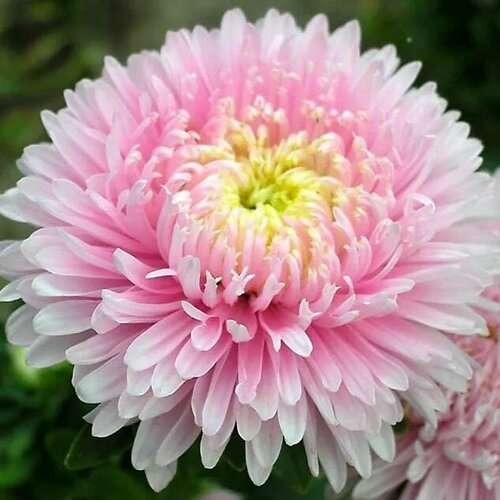 ������ ������ ����� ����������� ������, �������� �������� ��� ������, ����� � ������ ������ ������ ������ ����, 10 ����� ����