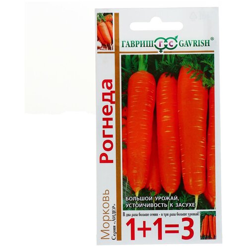 ������ ������ ������ ������� 1+1 