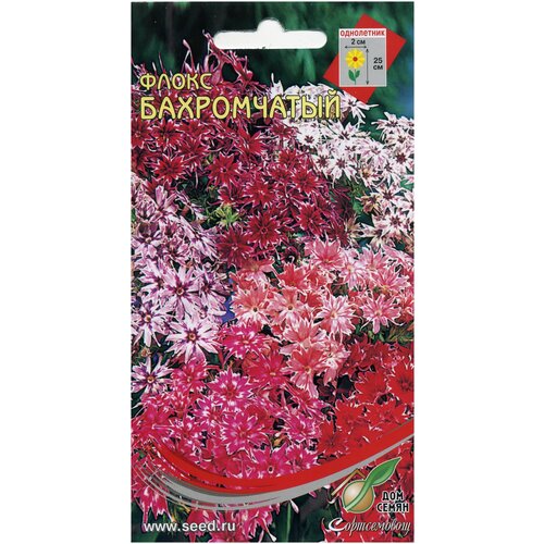 ������ ������ ����� �����������, 55 ����� ����