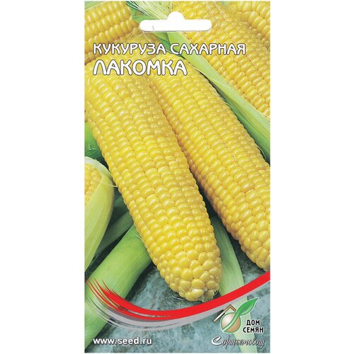 ������ ������ �������� �������� �������, 17 ����� ����