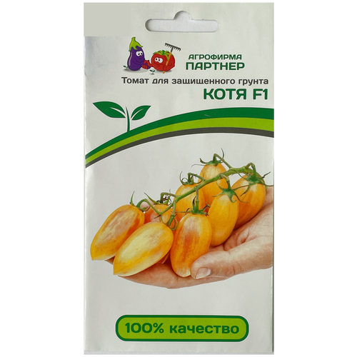 ������ ������ ������ ������ 