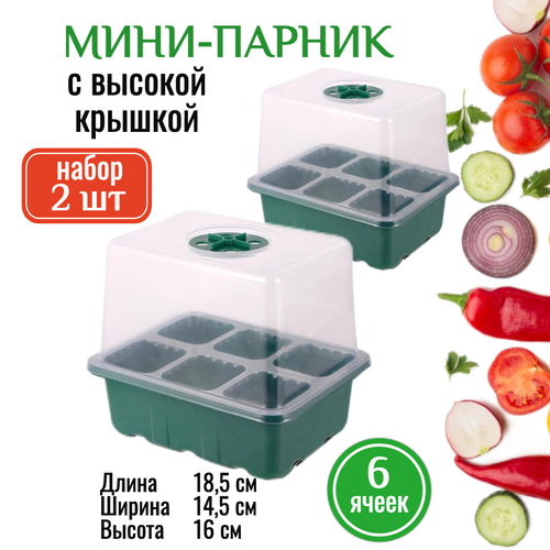 ������ ������ ����-������ ��� ������� �� ���������� - 2 ��. ������� ��� ����� ����� ����� ��� ����������� ������� ����