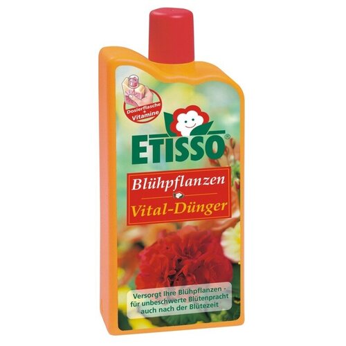 ������ ������ ��������� ������ Etisso ��� �������� �������� - 1 � ����